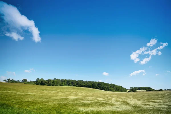 Paisagem rural com campos sob um céu azul — Fotografia de Stock