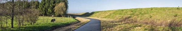 Pferde grasen in einer panoramischen Landschaft — Stockfoto