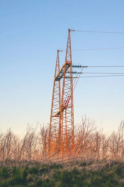 Red Pylons Wild Nature Dawn Clear Blue Sky Sunset — Stock Photo, Image