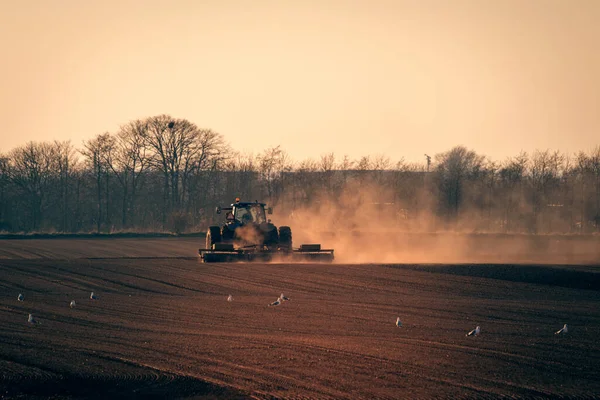 Tractor Campo Sol Con Polvo Volando Aire Gaviotas Por Todas —  Fotos de Stock