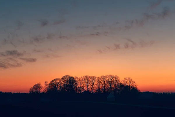 太陽が沈む直前に木のシルエットの農地に沈む夕日 — ストック写真