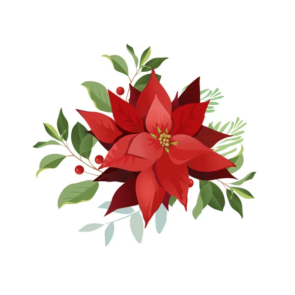 크리스마스 포인세티아 꽃, 붉은 잎. — 스톡 벡터