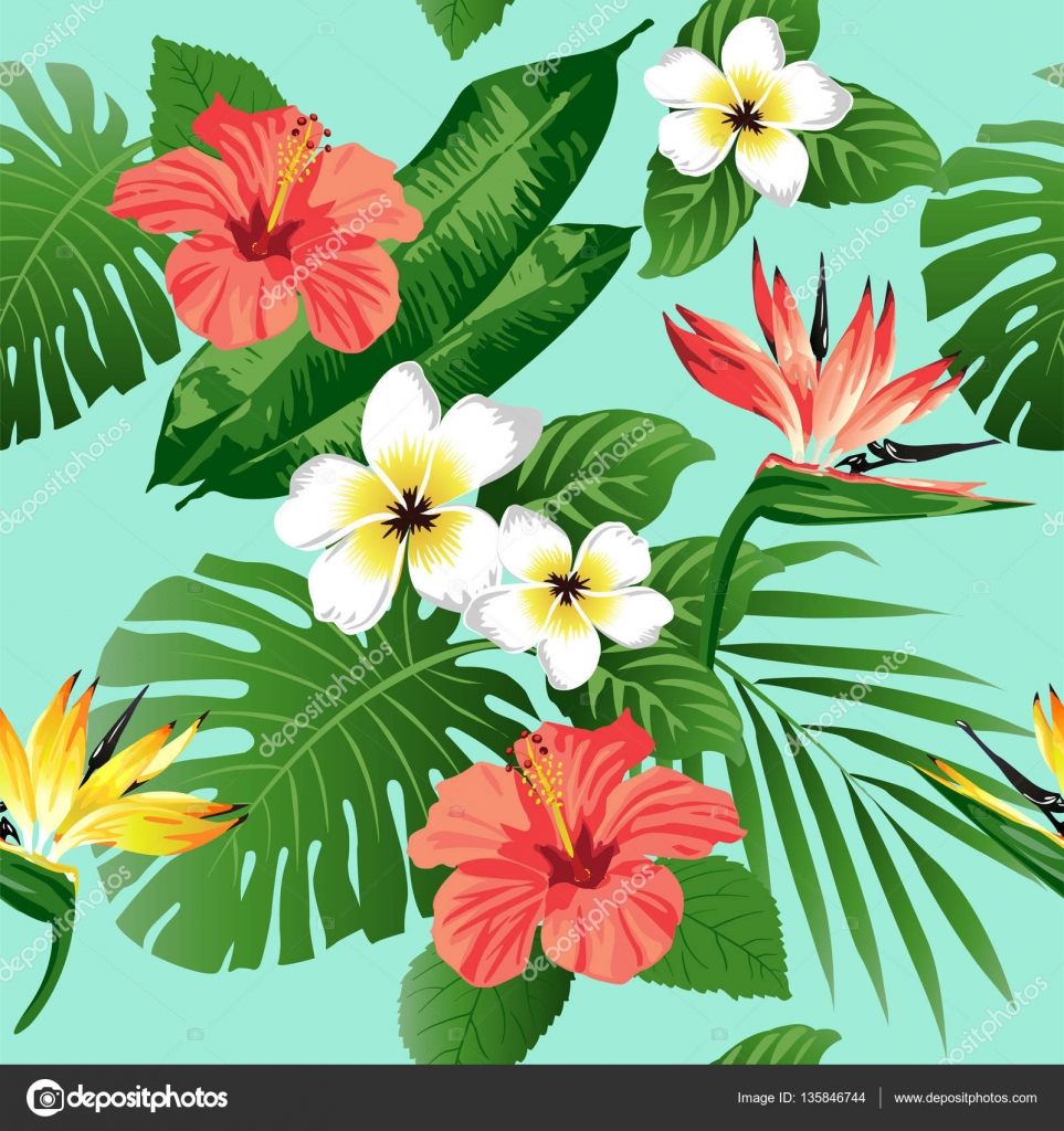Tận hưởng vẻ đẹp của những loài hoa nhiệt đới đầy màu sắc thông qua hình ảnh liên quan. Bạn sẽ bị mê hoặc bởi sự tươi tắn và quyến rũ của những loài hoa này.