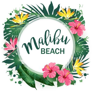Malibu Beach Party poster. Tropikal arka plan. Vektör çizim 