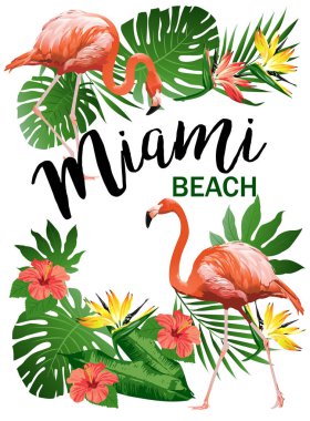 Miami Beach parti vektör çizim tropikal kuşlar, çiçekler, yapraklar. 