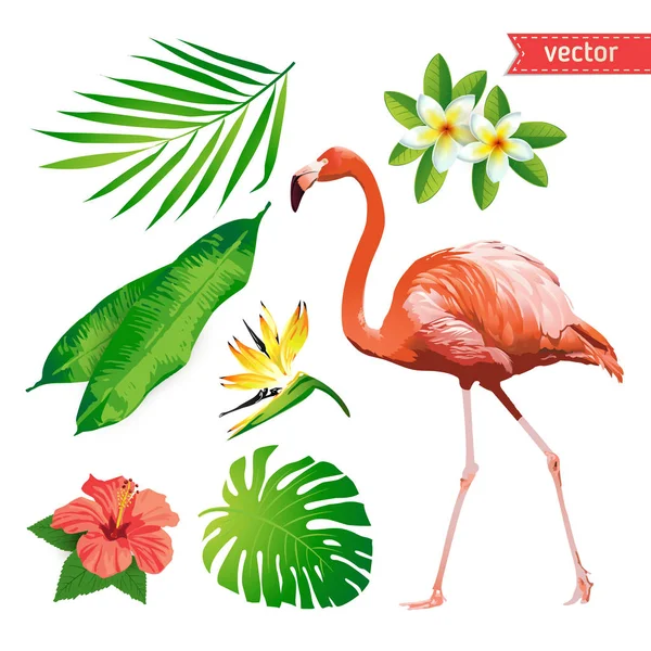 Tropik çiçekler, yapraklar ve kuş kümesi. Flamingo. Vektör. — Stok Vektör
