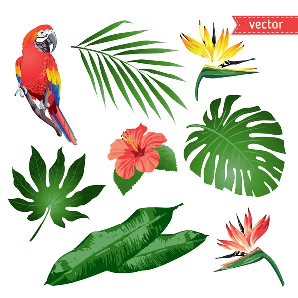 Conjunto de flores tropicais, folhas e pássaros. Toucan. Vetor . — Vetor de Stock