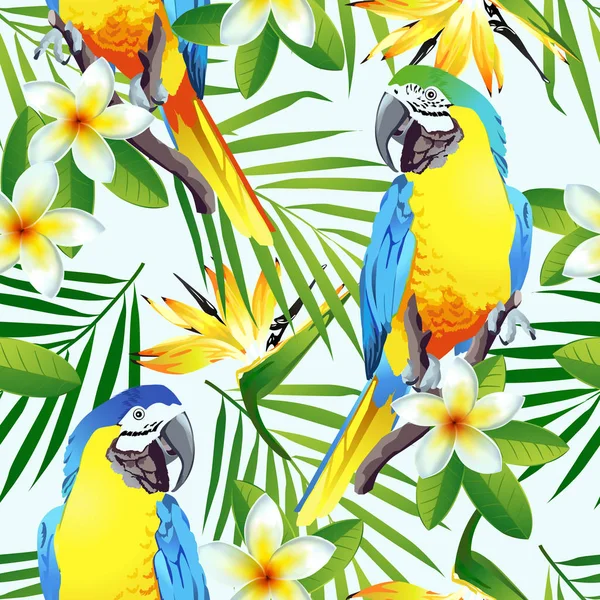 Oiseaux tropicaux. Perroquets colorés et fleurs exotiques. Vecteur . — Image vectorielle