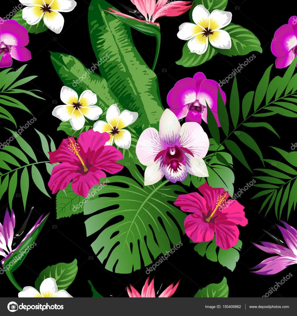Hoa Hibiscus tím là một loài hoa đẹp và thơm ngát có nguồn gốc từ vùng Đông Nam Á. Hãy thưởng thức các bức ảnh về hoa Hibiscus tím, đắm mình trong vẻ đẹp hoang sơ của thiên nhiên và cảm nhận sự tươi vui và thanh thản trong lòng.