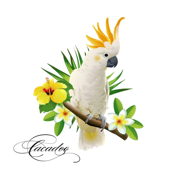 Cacatua papagaio nos ramos tropicais com folhas e flores no fundo branco. Ilustração vetorial . — Vetor de Stock