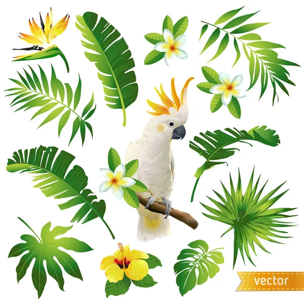 Set con foglie tropicali, fiori e uccelli. Illustrazione vettoriale . — Vettoriale Stock