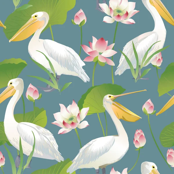 Pelikan ve lotus çiçekleri ile Seamless Modeli — Stok Vektör