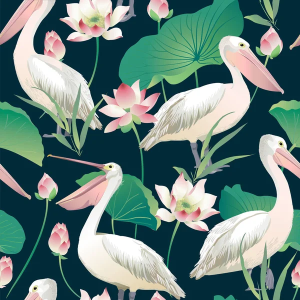 Pelikan ve lotus çiçekleri ile Seamless Modeli — Stok Vektör