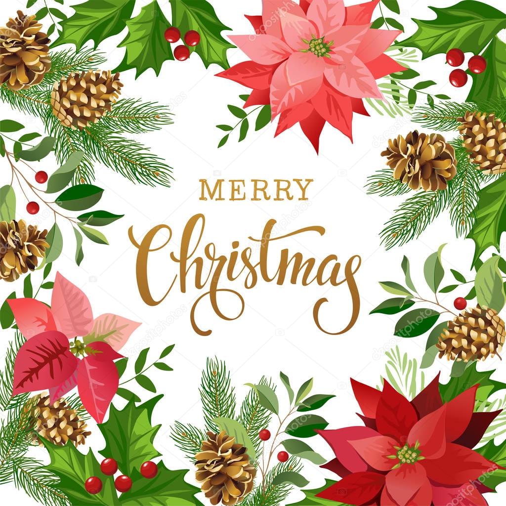 Christmas design composition of poinsettia, fir branches, cones, holly and other plants. Cover, invitation, banner, greeting card. Vector illustration.
