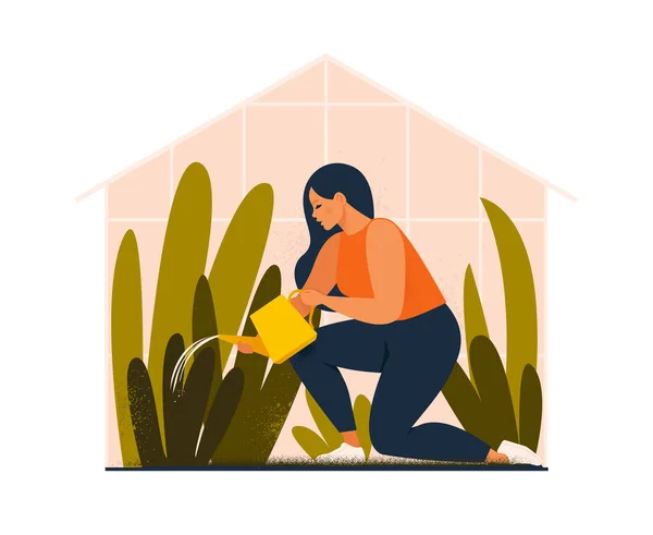 Bella giovane donna o giardiniere prendersi cura del giardino di casa, annaffiando piante d'appartamento che crescono in serra. Illustrazione del vettore del fumetto piatto. — Vettoriale Stock