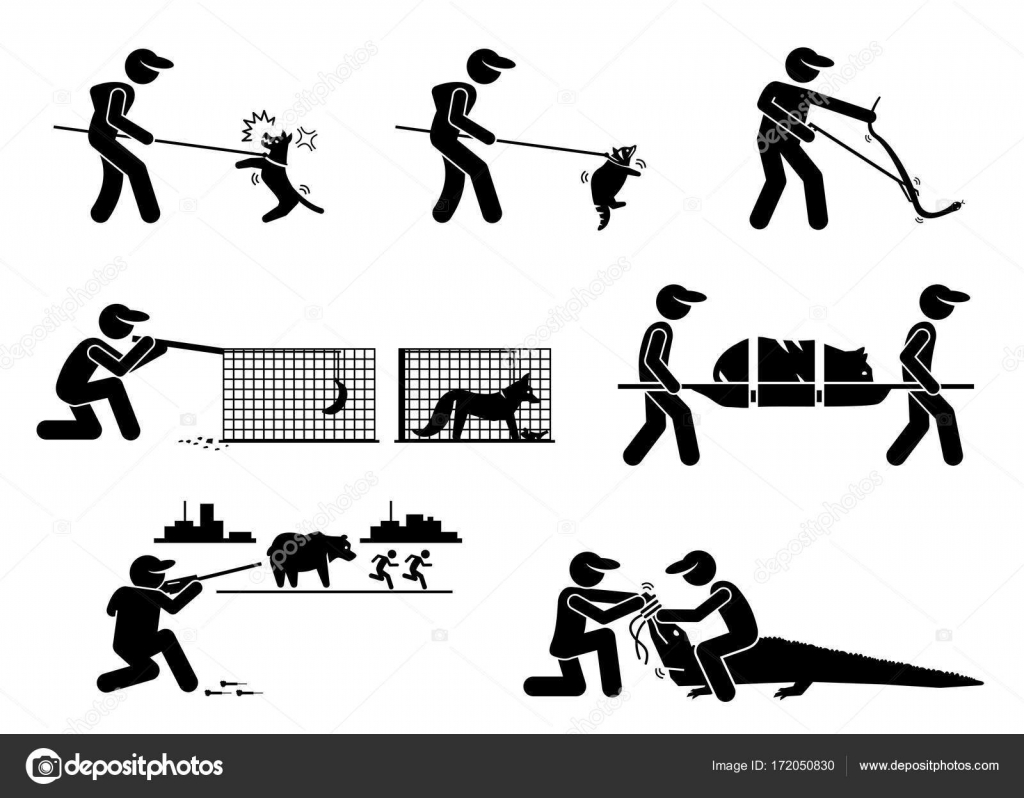 Download Animal Control Service and Equipments Stick Figure Pictogram Icons. — Stock Vector © leremy ...