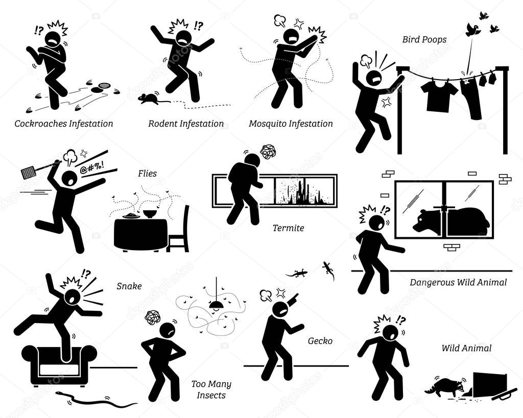 Wild animals, insects, and pests problem at people house home. Vector illustrations of pest infestations, pigeons poops, and dangerous wild animals trespassing human home.