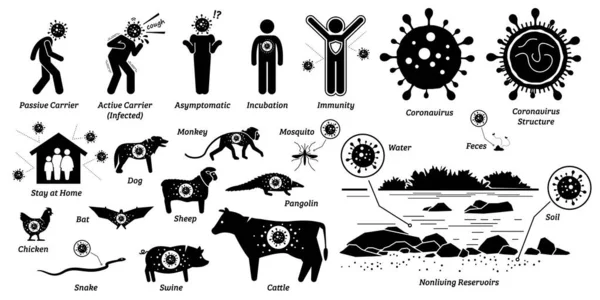 Penyakit Infeksi Virus Pada Organisme Hidup Dan Tidak Hidup Ilustrasi - Stok Vektor