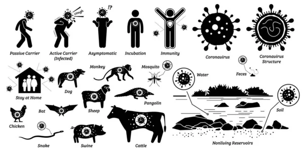 Doença Infecção Por Vírus Organismos Vivos Não Vivos Ilustrações Vetoriais — Vetor de Stock