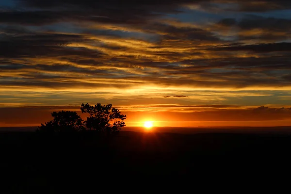 Utah desert sunset with tree silhouette