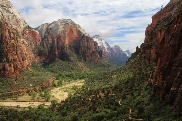 The lush green canyon floor at Zion National Park in Utah. — Stock Photo, Image