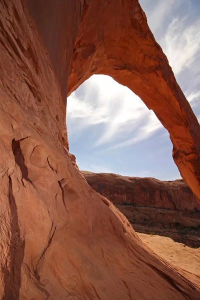 Corona kemer Utah yanında ayakta.