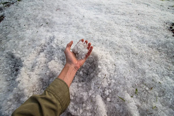 Storm chaser scoops up a handful of hail dropped by a thunderstorm. — Stock Photo, Image