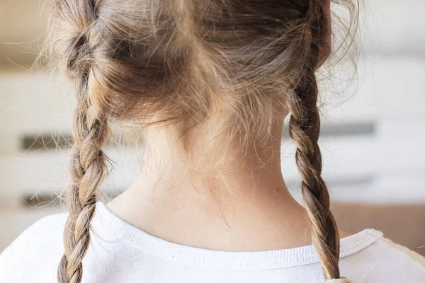 Adorável bonito tranças na cabeça de uma menina de 6 anos de idade — Fotografia de Stock