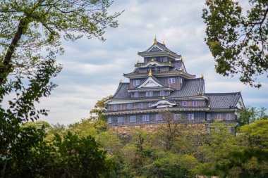 Okayama City, Japonya 'daki Okayama Şatosu