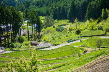 Japonya 'nın kentsel alanındaki köy manzarası
