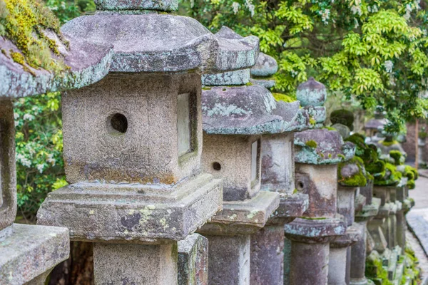 Lanterne Japonaise Dans Temple — Photo