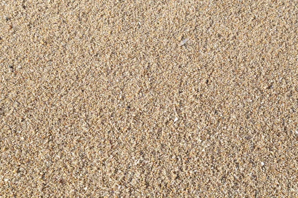 Tengerparti homok — Stock Fotó