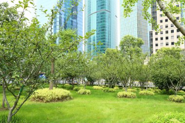 Pudong Lujiazui Shanghai Central Park