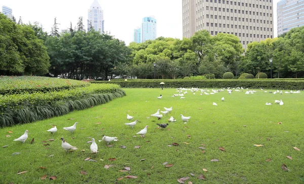 도시 경관 — 스톡 사진