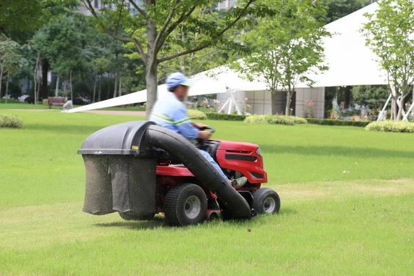 De grasmaaier op het werk — Stockfoto