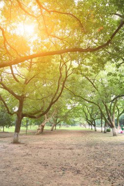 Grove Park 