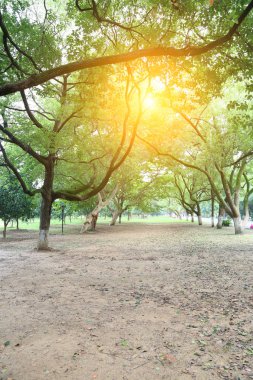 Grove Park 