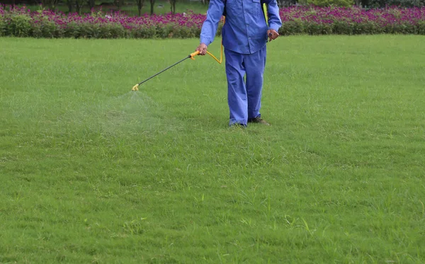 Zahradník je postřik insekticidy v trávníku — Stock fotografie