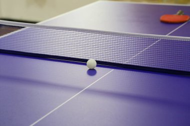 ping pong masası 