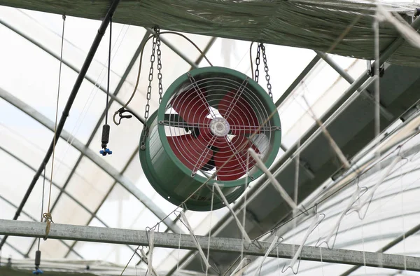 Вентилятор в теплице сельского хозяйства — стоковое фото