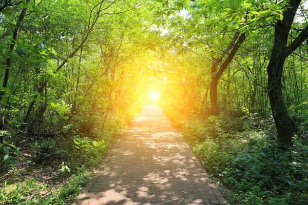 Mountain path — Stock Photo, Image