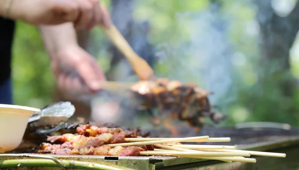 Zewnątrz Grill Jedzenie Jeść Odkrytym — Zdjęcie stockowe