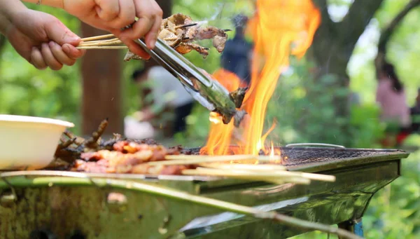 Churrasco ao ar livre — Fotografia de Stock