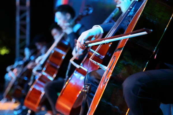 Tocando violonchelo — Foto de Stock