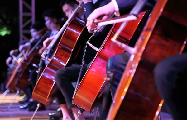 Jeu de violoncelle — Photo