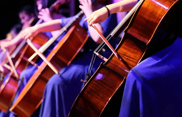 Cello playing — Stock Photo, Image