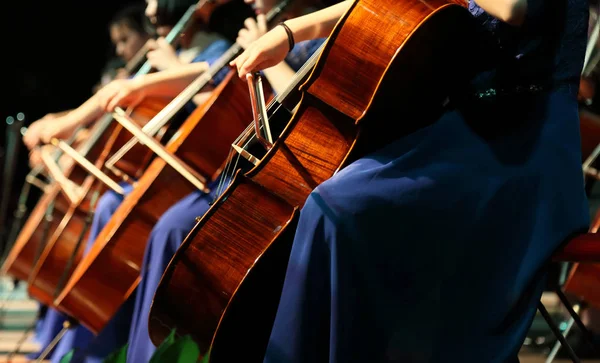 Cello playing — Stock Photo, Image