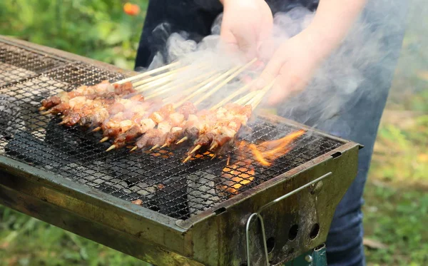 Barbecue All Aperto Mangiare Cibo All Aperto Foto Stock Royalty Free