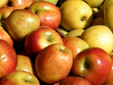 Tel Aviv apples 2010