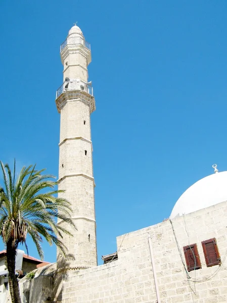  Muharrem Camii Mart 2011 Jaffa minaresi